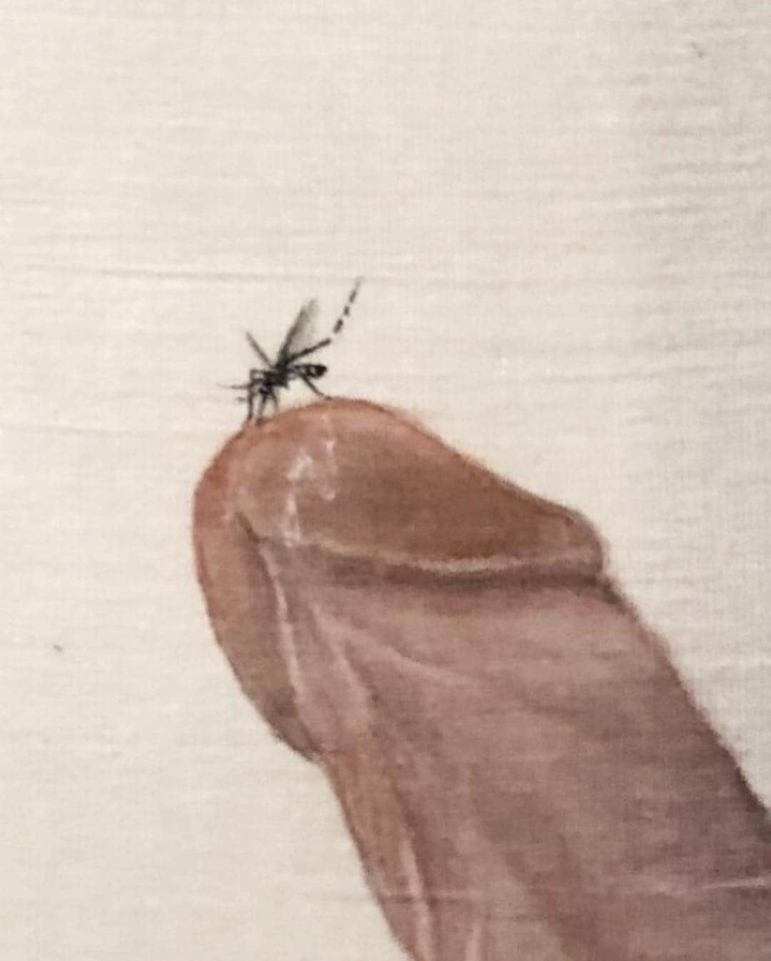 中野義仁さんのインスタグラム写真 - (中野義仁Instagram)「蚊🦟になるまでのぼうふらは 泥水呑んで 浮き沈み。 詠み人知らず。 我が座右の銘の一つ。 嗚呼、世に出るまでの人生は我慢辛抱の繰り返し。 #scroll #painting #ar #arts #artofinstagram #artwork #arte #h2oceanproteam  #h2ocean #officialh2oceanan」11月10日 0時39分 - horiyoshi_3