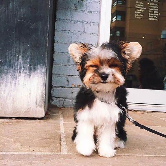 アールジーンのインスタグラム：「We’re just as excited about the changing seasons as this little guy🍂」