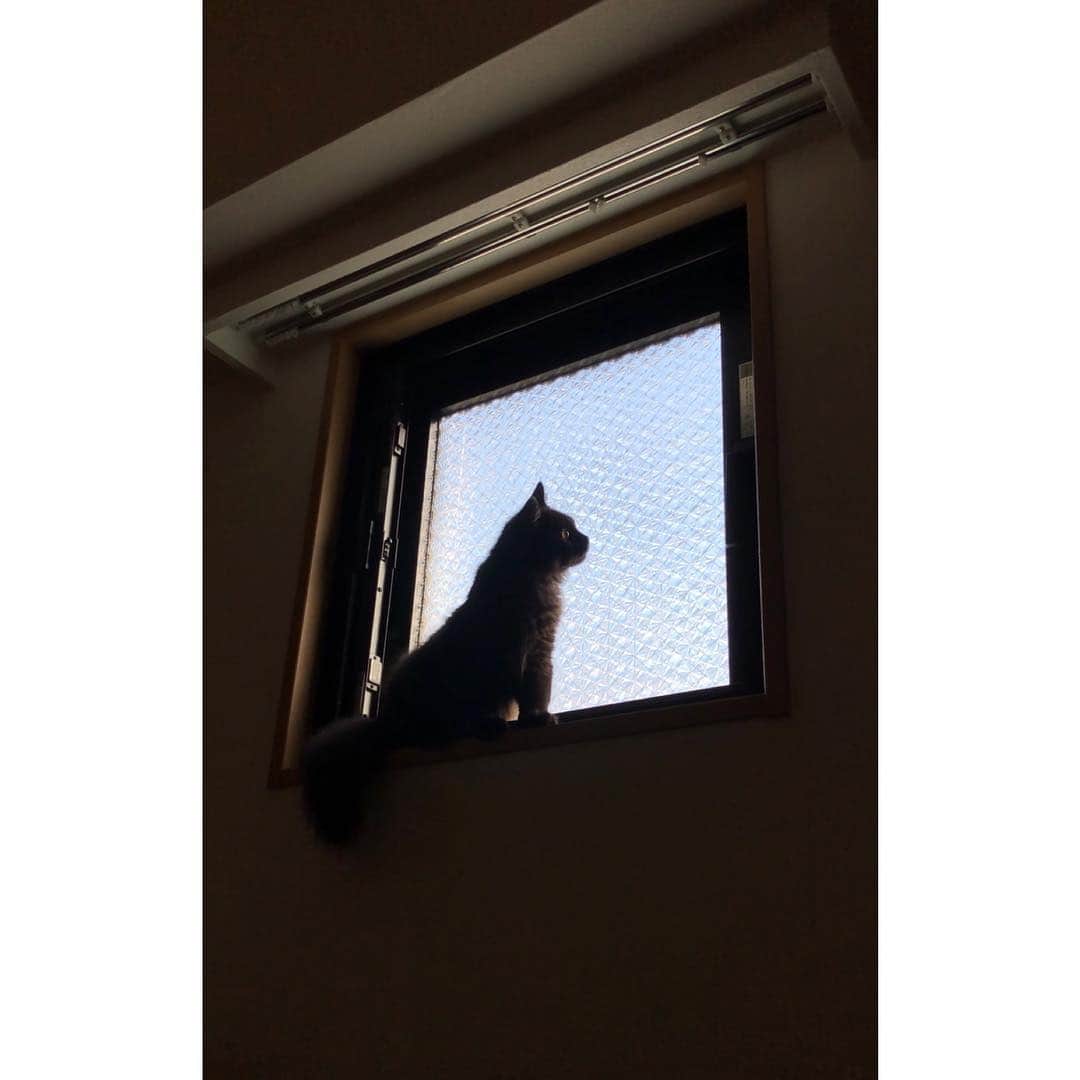 春輝のインスタグラム