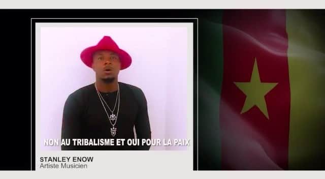 のインスタグラム：「We want peace🙏🏽🇨🇲... On veut la paix🙏🏽🇨🇲 #cameroonian #camerounais 🏳️🏳️🏳️」