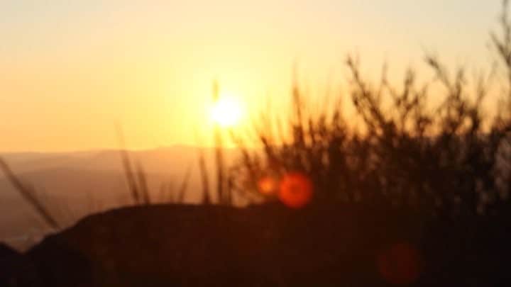 はねゆりのインスタグラム：「Light feather film part.7﻿ ﻿﻿ 🎶by Jovon miller @monsieurjovoni﻿ ﻿﻿ #1minutefilm﻿﻿ #lightfeatherfilm﻿﻿ #thebestofnow﻿﻿ #lifestyle﻿﻿ #canada﻿﻿ #bc﻿﻿ #victria﻿ #sunset﻿ #mtdouglas」