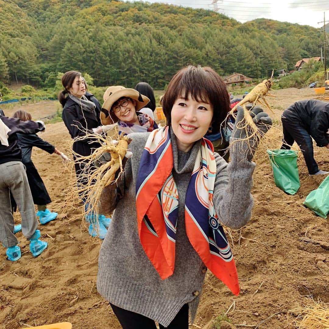 小林ひろ美のインスタグラム：「高麗人参掘ってます🥕✨ ★ #高麗人参#健康#韓国#美容#インナービューティー#korea#jinseng #beauty#health#healthylifestyle」