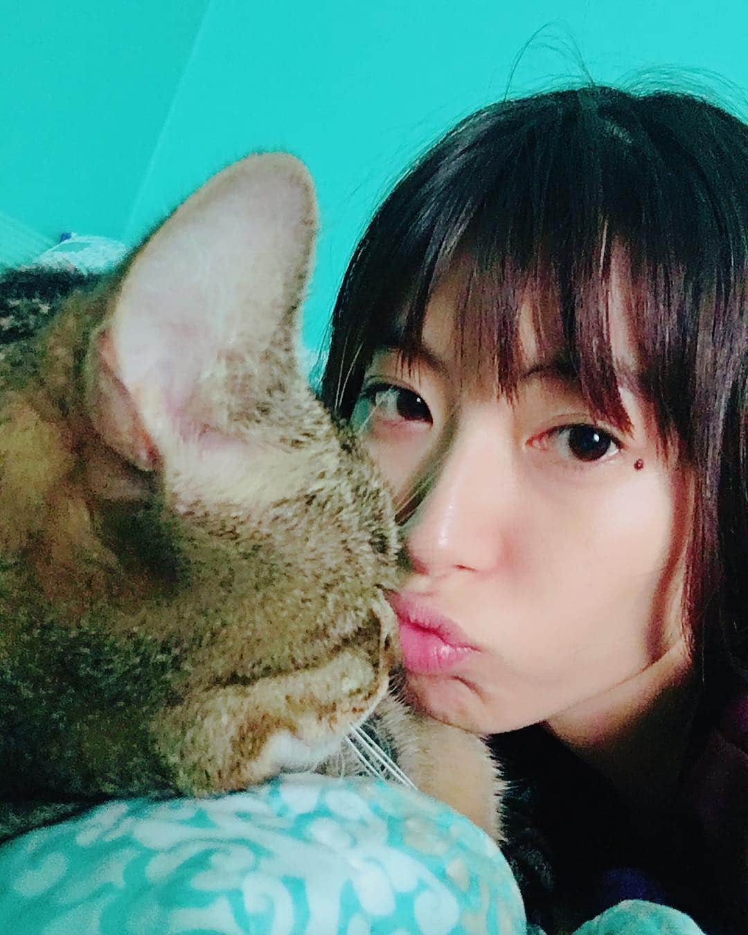 瀧本美織のインスタグラム：「😻 #cat」