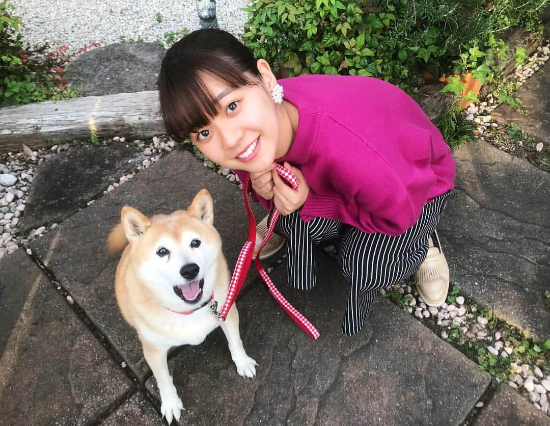 谷元星奈さんのインスタグラム写真 - (谷元星奈Instagram)「* 小学4年生の頃から 実家で飼っている愛犬『さくら』🐕 あだ名は『ぼなちゃん』です😊 本名で呼んでも、あだ名で呼んでも振り返ります！！ * #カンテレ #アナウンサー #休日 #さくら #ぼな ちゃん #柴犬 #みなさんあだ名はありますか ？ #私のあだ名 は #タニモ #たにやん #たにもっちゃん #セーナ #ありがとうございます ！ #ミニレスラー #ばくだんいわ #ダメ ！ #休みの日 #顔薄い」10月18日 19時20分 - tanimoto_seina