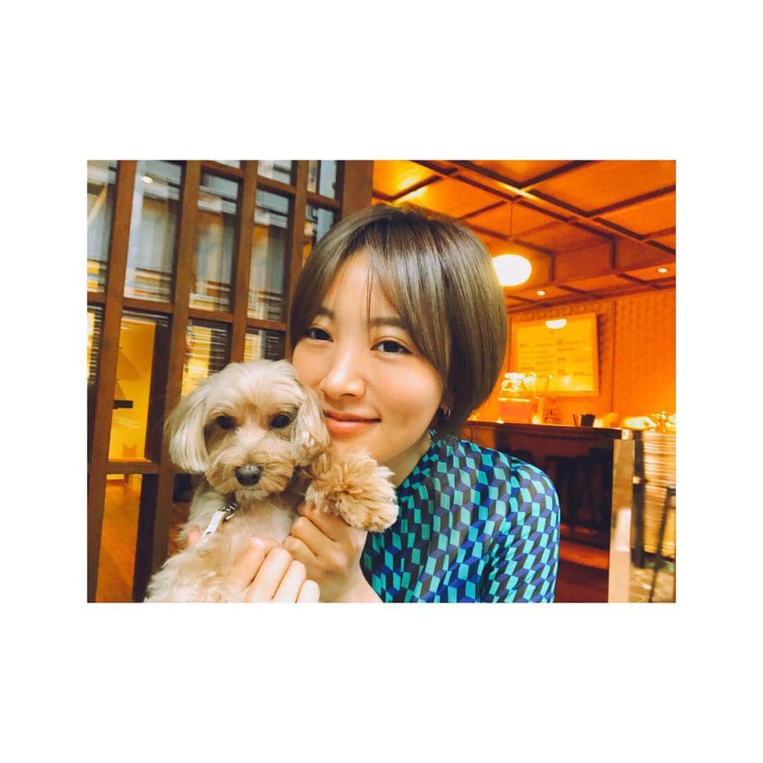 夏菜さんのインスタグラム写真 - (夏菜Instagram)「🐕 💚 おはよーん」10月19日 10時19分 - natsuna_official