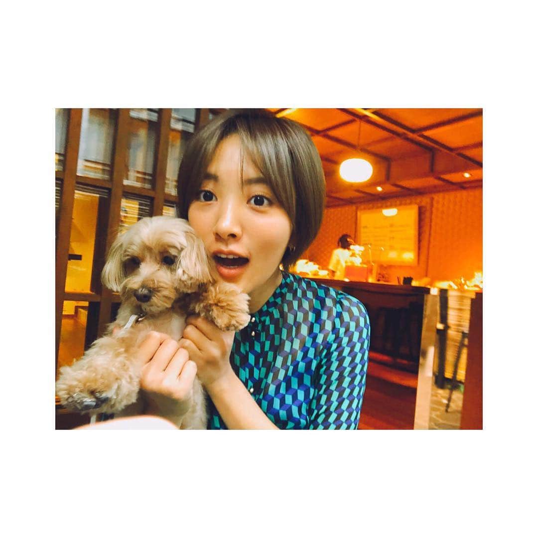 夏菜さんのインスタグラム写真 - (夏菜Instagram)「🐕 💚 おはよーん」10月19日 10時19分 - natsuna_official