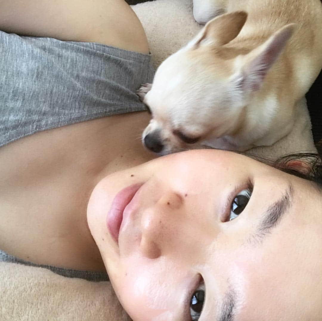 巴田みず希さんのインスタグラム写真 - (巴田みず希Instagram)「さぁ、一緒にお昼寝しよう💤✨ #育児疲れ #ぐっすり眠りたい #12時間眠りたい #育犬疲れ #疲れてない #ほんとは癒されてる #赤ちゃんは天使 #チワワは堕天使 #スムチー #chihuahua #チワワらぶ #チワワ #スムースチワワ部 #小晴 #一緒に寝んね #お昼寝 #寝ましょう #添い寝」10月19日 12時35分 - mizukitomoda