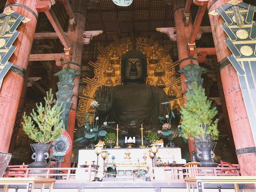 木村沙織さんのインスタグラム写真 - (木村沙織Instagram)「. 今日は奈良。🦌 . . #鹿児島のパパママを #連れ回しています。🤭 . #東大寺」10月20日 20時56分 - saoriiiii819
