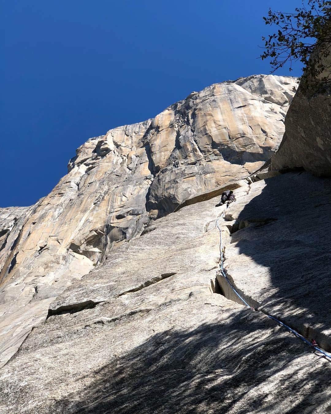 植田夢月さんのインスタグラム写真 - (植田夢月Instagram)「・ 10/19 Today is our first day of climbing single-pitch routes in Yosemite! We visited El Cap Base crag. Enjoyed beautiful granites. ・ ■Moby Dick / 5.10a FL Long and beautiful split crack, from finger size to over-fist size. One of the finest 5.10a cracks I've ever tried. ☆☆☆☆☆. ・ ■Ahab / 5.10b × Hard off-width. I could barely top out on TR with many many many tensions....I should train more....😢 ・ ・ ・ 今日は、記念すべきヨセミテでの初ルートクライミング。El Cap Base に行きました。NoseやSalatheを眺めながら麓でクライミング。 ・ Moby Dick / 5.10aは、事前調査で気になってたルート。見た目通りめちゃくそ楽しい！気持ちよかったー！みんな1撃。 ・ 右隣のAhab / 5.10bは、トポによると『99%の5.13ジムクライマーがはじき返される』らしい、ワイドクラック。見た目通り、全く歯が立たず。ていうか、体力がもたない。これがヨセミテのワイドなのかよ…でもいい練習になった！夫だけTR完登。 ・ ・ 1枚目: @bigpowderdave on Moby Dick。4番をもっと持ってくればよかった…と後悔ランナウトしながら登っていた。背景の壁がでかすぎて、40mのルートなのにそんな長いルートに見えない… 2枚目: 私 on Ahab。 3枚目: El Capゥゥーーー！！😍😍😍😍😍って感じのテンションで撮った写真 4枚目: 初日の適当な自炊 #yosemite #yosemitenationalpark #yosemitevalley #yosemiteclimbing #elcapitan」10月20日 16時01分 - dream_moco