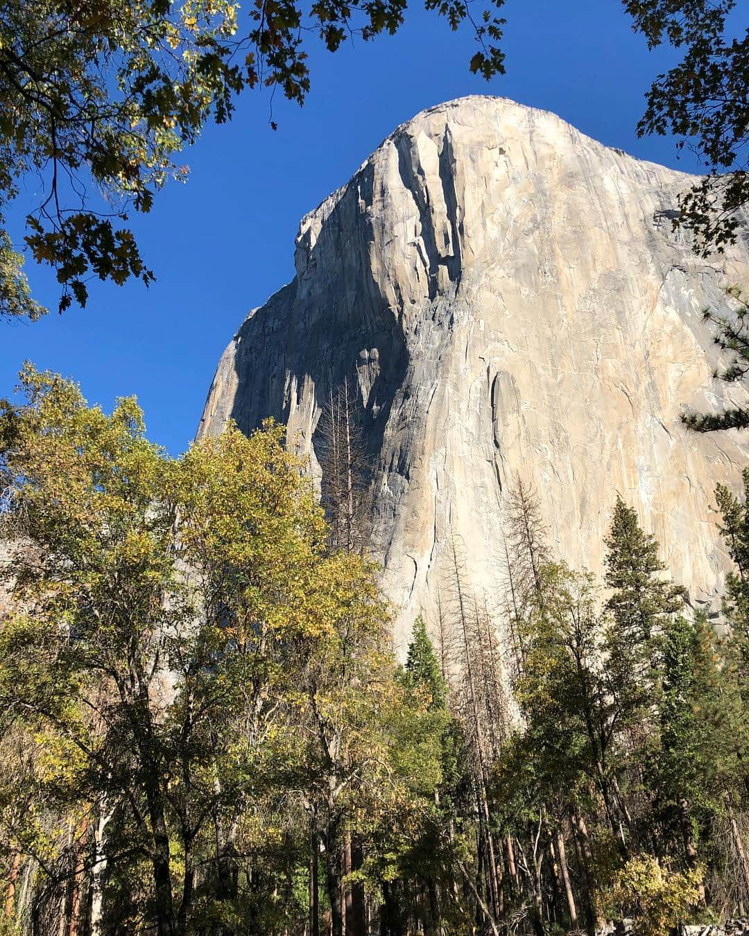 植田夢月さんのインスタグラム写真 - (植田夢月Instagram)「・ 10/19 Today is our first day of climbing single-pitch routes in Yosemite! We visited El Cap Base crag. Enjoyed beautiful granites. ・ ■Moby Dick / 5.10a FL Long and beautiful split crack, from finger size to over-fist size. One of the finest 5.10a cracks I've ever tried. ☆☆☆☆☆. ・ ■Ahab / 5.10b × Hard off-width. I could barely top out on TR with many many many tensions....I should train more....😢 ・ ・ ・ 今日は、記念すべきヨセミテでの初ルートクライミング。El Cap Base に行きました。NoseやSalatheを眺めながら麓でクライミング。 ・ Moby Dick / 5.10aは、事前調査で気になってたルート。見た目通りめちゃくそ楽しい！気持ちよかったー！みんな1撃。 ・ 右隣のAhab / 5.10bは、トポによると『99%の5.13ジムクライマーがはじき返される』らしい、ワイドクラック。見た目通り、全く歯が立たず。ていうか、体力がもたない。これがヨセミテのワイドなのかよ…でもいい練習になった！夫だけTR完登。 ・ ・ 1枚目: @bigpowderdave on Moby Dick。4番をもっと持ってくればよかった…と後悔ランナウトしながら登っていた。背景の壁がでかすぎて、40mのルートなのにそんな長いルートに見えない… 2枚目: 私 on Ahab。 3枚目: El Capゥゥーーー！！😍😍😍😍😍って感じのテンションで撮った写真 4枚目: 初日の適当な自炊 #yosemite #yosemitenationalpark #yosemitevalley #yosemiteclimbing #elcapitan」10月20日 16時01分 - dream_moco