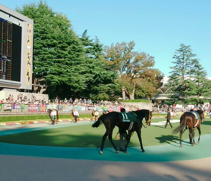 佐々木実季さんのインスタグラム写真 - (佐々木実季Instagram)「まなみんと麻理ちゃんと東京競馬場に行って来ました🐴︎︎❤︎︎富士ステークスでは、応援しているワントゥワンは2着と惜しかったけど、推定上がり33.2秒と最速で凄かった✨今日は馬券全然勝てなかったけど、楽しかったからいっか🐴︎︎❤︎︎（笑） #競馬 #競馬場 #富士ステークス #富士s #東京競馬場 #府中競馬場 #🐴 #🐎 #🏇 #お馬さん #馬大好き #ワントゥワン #上がり33.2秒 #メンバー最速 #馬女 #競馬女子 #勝馬 #keiba #horses #lovehorses #horselove #tokyoracecource #umabi #umajo #horserace #horseracing」10月20日 17時15分 - miki.sasaki_golf