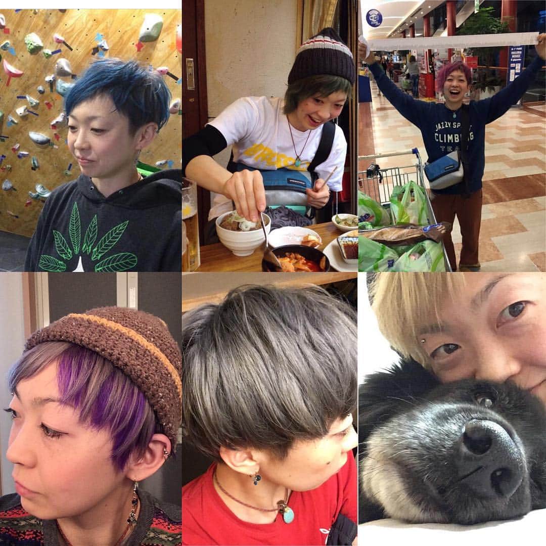 萩原亜咲のインスタグラム：「髪は生えてるうちに遊ぶもの！  髪色コレクション★ たくさんやったもんだ。 次は白髪のおばあちゃんになれたらやろうかな👵  どの色もお気に入り❤︎」