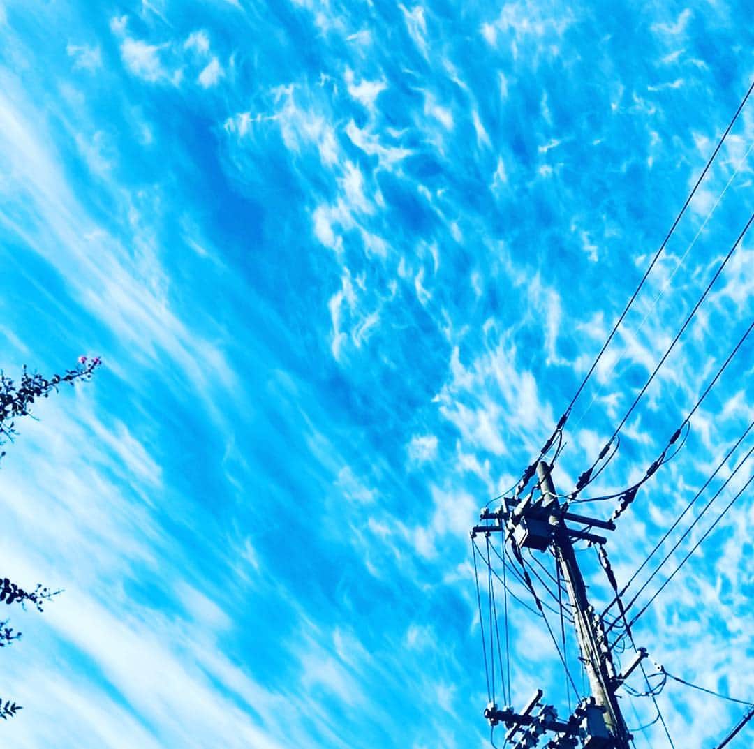 njun tamahkiのインスタグラム：「秋空もう1枚  #電柱写真クラブ  #wwwdc #blue #sky #cloud #autum」
