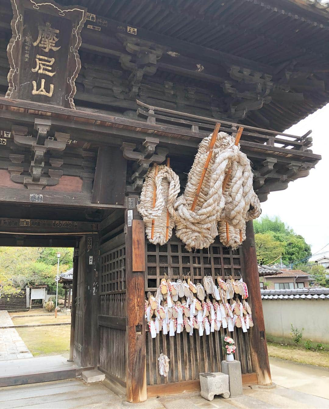 坂元美香さんのインスタグラム写真 - (坂元美香Instagram)「. 尾道の旅 - ⑨ . 前回の浄土寺の石ゴロゴロ動画はリーチ数18万🤣 （正確には石ゴロゴロできなかった動画w） 18万人の方が見てくださったということなんです。 本当にびっくりです！ . 予想外にも人気コーナーになった #坂元尾道の旅 シリーズもこれで最後。 . 千光寺ご住職が最後に連れて行って くださったのは西国寺。 数多くの文化財を抱える尾道を代表する お寺のひとつだそうです。 . 歩いて行くと西国寺のシンボルである 2mの巨大な草履が！！ 山門である仁王門には2体の仁王像が 安置されていて、その健脚にあやかり 草履が奉納されているそうです。👣 . その先の108段の階段を登り切って振り返ると 素晴らしい景色。そして正面には金堂が。 私が訪れた日はそこでオペラコンサートが 開催されていました。 重要文化財でクラシック演奏会なんて なんかすごい素敵なイベント✨ . さらに階段を登り大師堂を見学。 そのあと西国寺でも御朱印をいただきました☺️🙏 . お正月にはここで柴燈護摩（火渡り神事）も 行われているそうです。 あの見てるだけで火傷しそうなやつ😱🔥 . 帰りの新幹線の時間がせまっていたので 今回は重要文化財の三重塔へは行けず😂 また来る時の楽しみとして とっておくことにしました。 . 最後はおちゃめな千光寺ご住職と お転婆坂元コンビで、 なぜか後ろ歩きして逆再生動画撮ってみたり なんだかほんわかする楽しい旅でした☺️ . #坂元尾道の旅 楽しんでいただけたでしょうか。 このまま旅インスタグラマーになろうかな？🤔 いや、寺インスタグラマーになって テラスタグラムでも始めようかしら🤭 やっぱり自称尾道PR大使がいいかな🙄 . そして！千光寺アプリの縁起画像 皆さんのおかげで全部揃いました！🎉 ありがとうございます！ . 千光寺さんが作ったばかりの千光寺お守りアプリ 無料なのでもしよければぜひ！ @onomichi.senkouji  会員番号教えていただければ縁起画像送ります😊 私は32番です！ . また尾道に行ける日が楽しみです😌 毎回長文の尾道の旅シリーズ 読んでくださりありがとうございました。 . #西国寺 #西國寺 #尾道西国寺 #重要文化財 #文化財 #草履 #千光寺 #千光寺アプリ #千光寺お守りアプリ #尾道千光寺 #尾道 #尾道市 #広島 #尾道女子 #お寺好き #お寺好きな人と繋がりたい #尾道観光 #御朱印 #御朱印巡り#御朱印集め #japanesetemple #感謝 #坂元旅シリーズ」10月21日 8時53分 - mika_saka