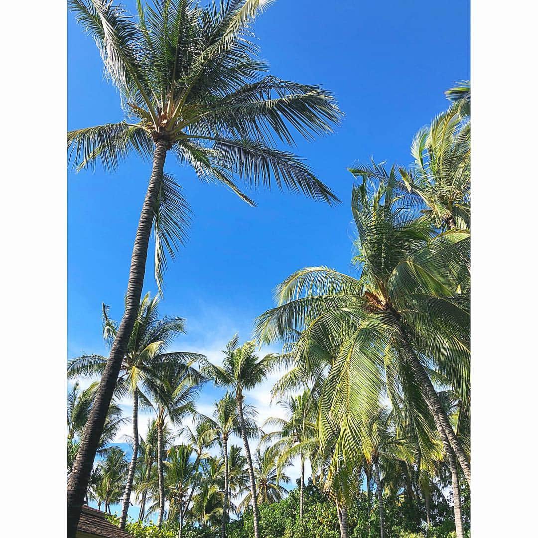 西山真以さんのインスタグラム写真 - (西山真以Instagram)「* 10月からは雨季に入るようで。。 天気予報も雨続きだったので覚悟して行ったら、毎日ほぼ晴天 ☀︎ 海も冷たくなくて気持ちよかった♪ . ゴルフウェアのボトムスの線が太ももにくっきり… 顔だけ白い人になってきてしまった😂 . #hawaii #island #travel #beach #sea」10月21日 10時12分 - mai0830