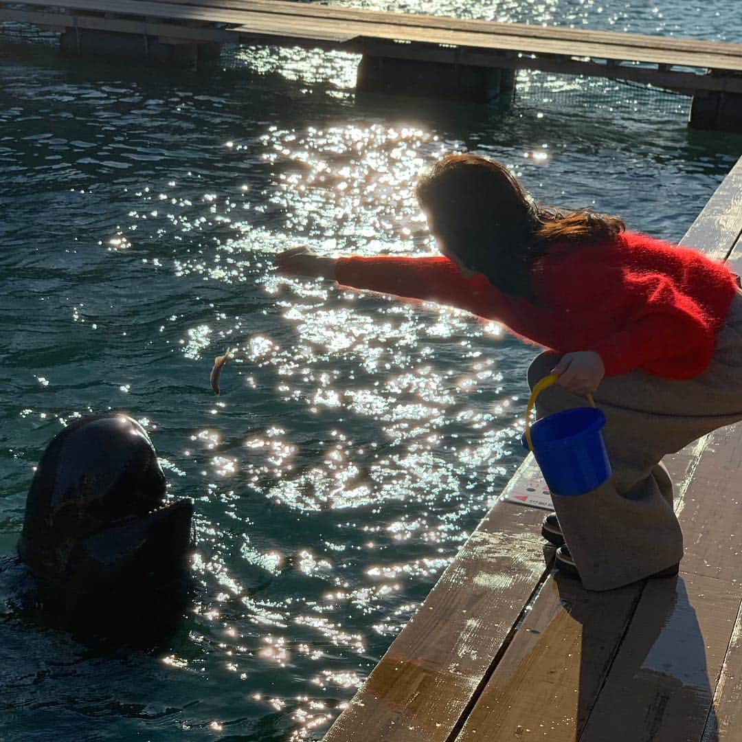 笛木優子さんのインスタグラム写真 - (笛木優子Instagram)「🐳🌊 和歌山は鯨が有名です🐋 かわいい💕  #和歌山 #insta_wakayama#太地町立くじらの博物館」10月21日 14時28分 - yukofuekiyumin