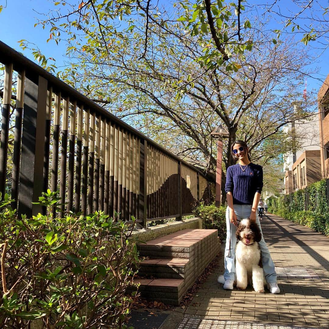 kokiさんのインスタグラム写真 - (kokiInstagram)「Today was the perfect weather for taking Étoile outside!」10月21日 19時30分 - koki