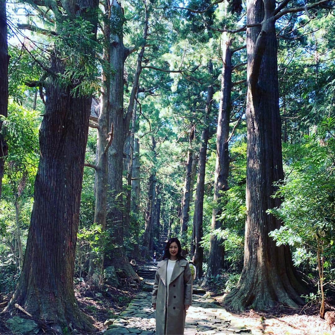 笛木優子のインスタグラム：「秘密にしたいくらい素晴らしい場所🌳  #熊野古道#大門坂#橋杭岩#和歌山 #insta_wakayama#世界遺産」