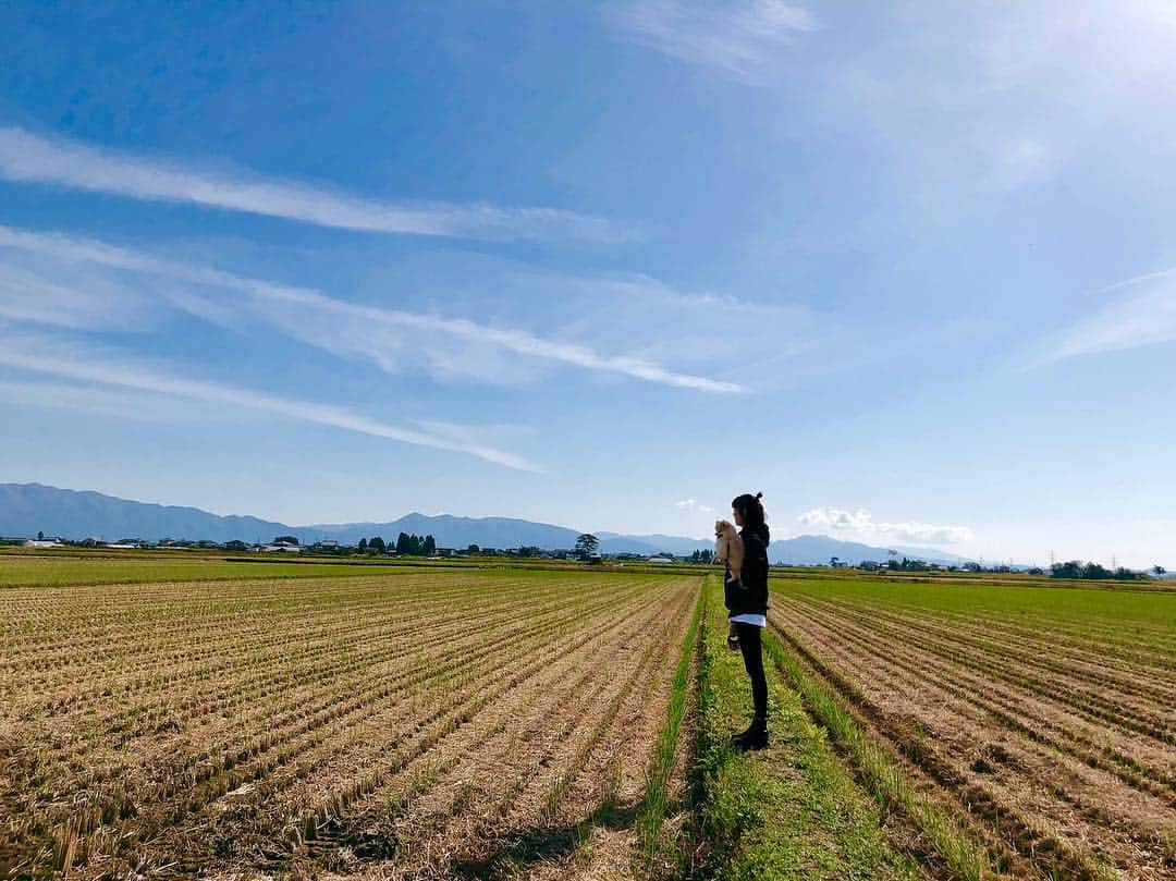 佐藤栞里さんのインスタグラム写真 - (佐藤栞里Instagram)「. 新潟へ帰省してきました🍁 お墓参りもできたし はなと田んぼさんぽもできたし 政ちゃんのタレかつも久しぶりに食べられて お土産に冷凍のイタリアンも買って、 笑顔のじいちゃんにも会えて☺️ また明日から、頑張れる☺︎ #じいちゃんが大きな筋子を持たせてくれた！ #明日の朝ごはんが楽しみだのう🤤 #好きなお鍋のコメントもありがとう #次回やってみます！✨」10月22日 21時39分 - satoshiori727