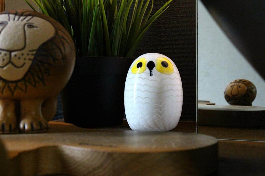 snooze500のインスタグラム：「#onigiri は、#トイレ に。 大好きな#ティーマ マグでさえ、#ホワイト 持ってないくらい、あまり白いものは買わないんですけど、ちょっとこの#フクロウ は、我が家の暗〜いトイレに似合いそうだなと^ ^ 結果、想像以上♪ ‥ #interiordesign #interior #lisalarson #iittala #arabia #iittalabird #oivatoikka #scope_japan  #イッタラ #アラビア #北欧 #北欧雑貨 #北欧インテリア #インテリア雑貨 #インテリア」