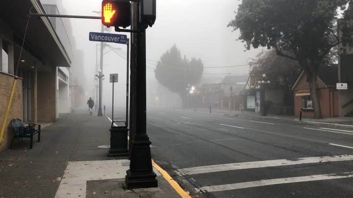 はねゆりのインスタグラム：「Recently victoria is foggy in the morning.﻿ ﻿ I felt nobody live in here.lol👻﻿ like a scary movie🧟‍♀️🧟‍♂️﻿ ﻿ ﻿ 最近、朝霧がかってることが増えた。﻿ 普段は自転車通勤してるけど﻿ 霧がすごい日はバスで🚌﻿ ﻿ 朝早いのもあって人が全然いなかったから﻿ まるで、この街から人が忽然と消えた！﻿ 怖い映画みたいだった。笑﻿ ﻿ ﻿ #thebestofnow﻿﻿﻿﻿ #lifestyle﻿﻿﻿﻿ #victoria﻿﻿ #bc﻿﻿ #canada」