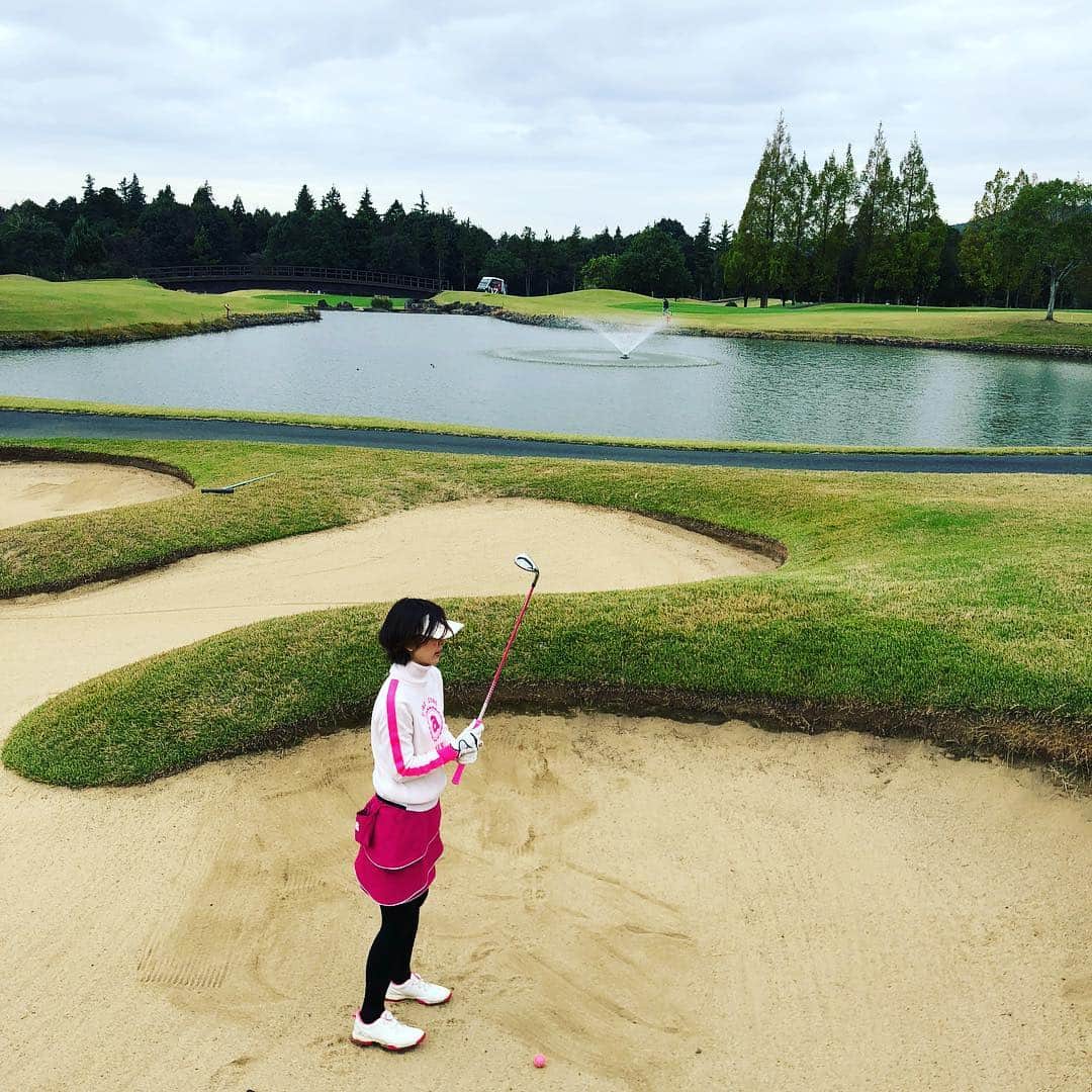 宮崎宣子のグルメインスタ