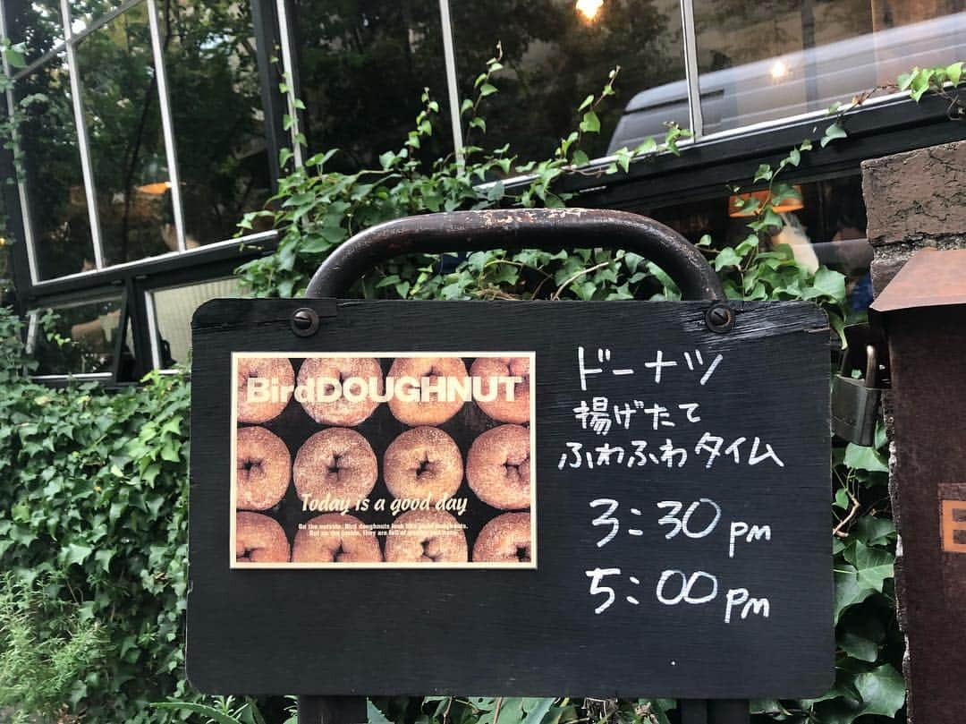 本田翼さんのインスタグラム写真 - (本田翼Instagram)「🍩 #birdcafe の ドーナツおいしすぎって話 ご存知でした？ #だってふわふわタイムだよ ？ #ふわふわタイム」10月23日 12時56分 - tsubasa_0627official