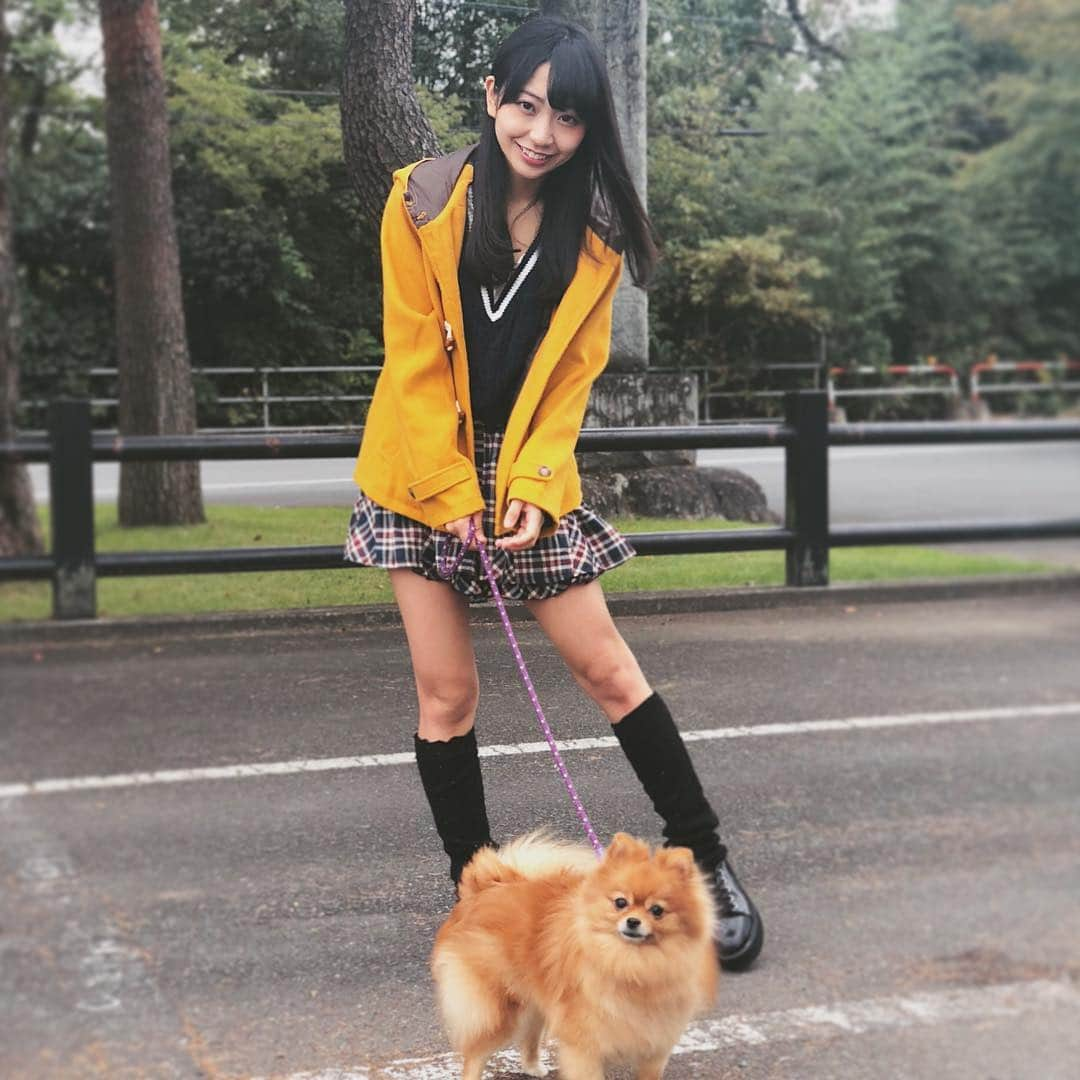 月野もあさんのインスタグラム写真 - (月野もあInstagram)「お散歩！ #code #pomeranian #pet」10月23日 23時47分 - moa_tsukino