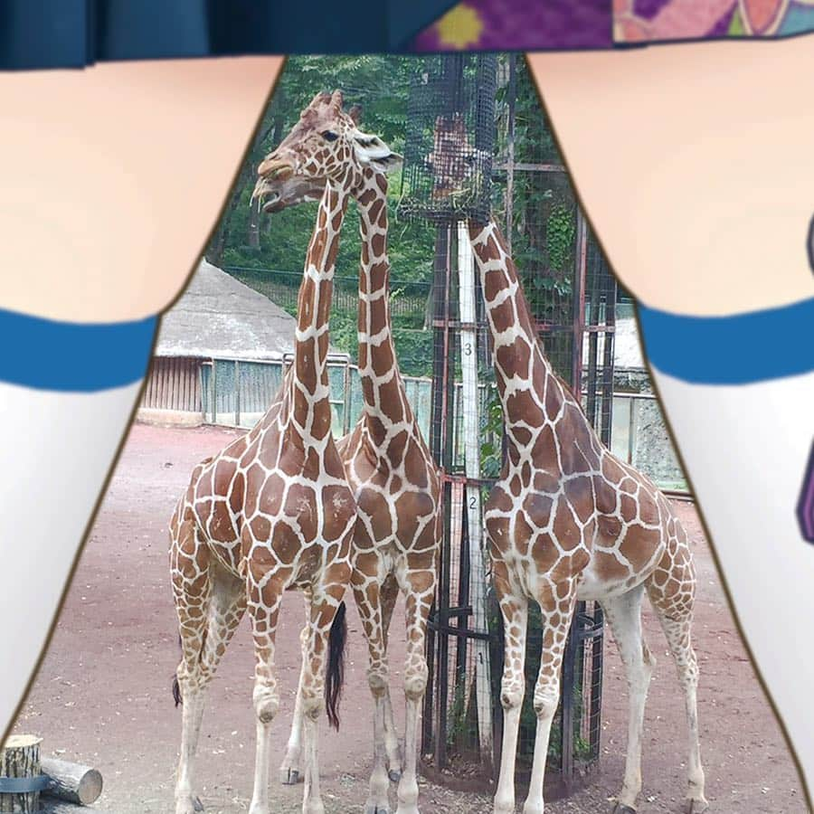 富士葵さんのインスタグラム写真 - (富士葵Instagram)「🗻🍑 📍 多摩動物公園/東京都日野市 きりんさーん🦒❤️ 葵の動物シリーズ😆🙌💓 . . . #富士葵 #fujiaoi #fujiaoi_official #富士もも#ふとももフレーム#富士山#多摩動物公園#zoo#tokyo #🇯🇵#otaku#youtuber#youtube#バーチャルyoutuber  #VTuber#Aoich#idol#japanese#game#kawaii#kawaiigirl#kawaiianime #kawaiidesu #kawaii_anime #アニメ #日本 #声優 #二次元 #萌」10月23日 17時49分 - fujiaoi_official