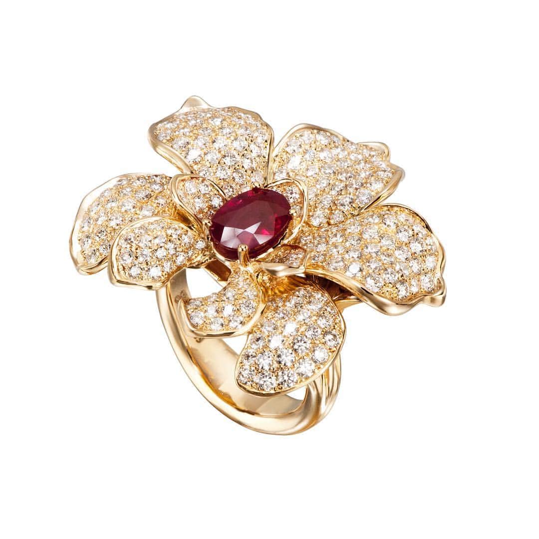 カレライカレラのインスタグラム：「Each piece is an orchid itself」