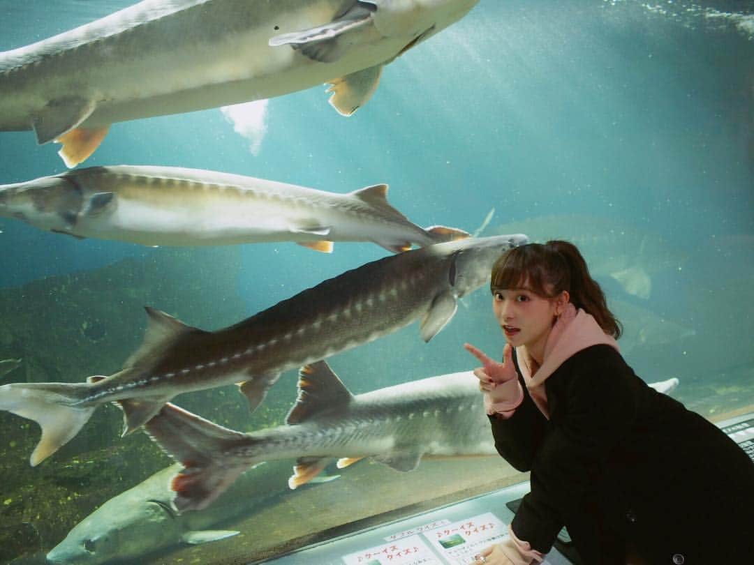 のインスタグラム：「北海道旅行中✌︎おたる水族館のサメかっこよかった††† #hokkaido #trip #aquarium #shark #instagood」