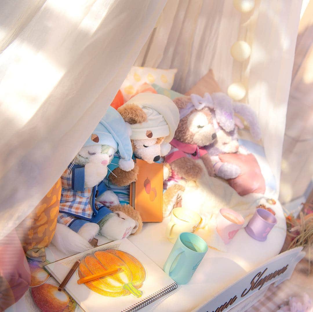 のインスタグラム：「Taking a nap… すやすや・・・ #mcducksdepartmentstore #americanwaterfront #tokyodisneysea #tokyodisneyresort #duffy #shelliemay #gelatoni #stellalou #autumnsleepover #マクダックスデパートメントストア #アメリカンウォーターフロント #東京ディズニーシー #東京ディズニーリゾート #ダッフィー #シェリーメイ #ジェラトーニ #ステラルー #パジャマパーティ #木漏れ日 #すやすや」