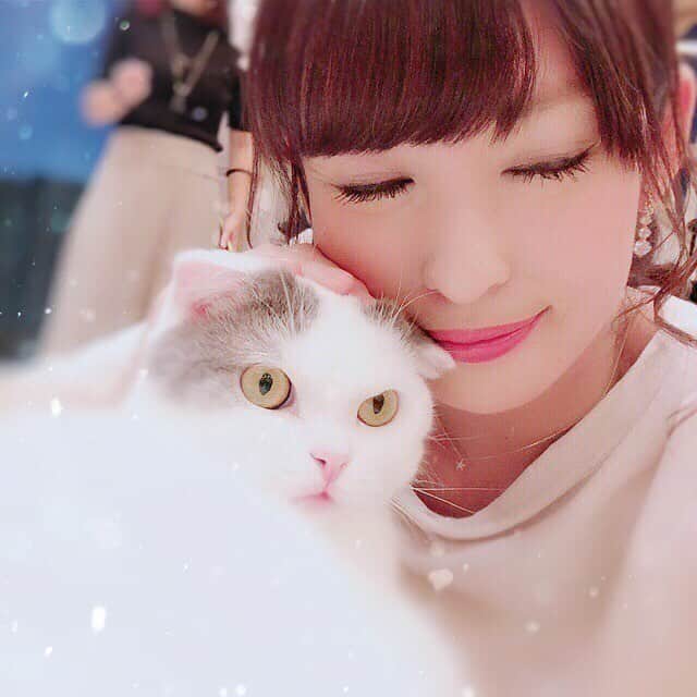 山岸愛梨さんのインスタグラム写真 - (山岸愛梨Instagram)「一緒に写真を撮ってくれたこの子、大人しくてちっちゃくて可愛いすぎでした(*^^*)♡ #猫 #もふもふ #猫カフェ」10月24日 13時16分 - airi_yamagishi