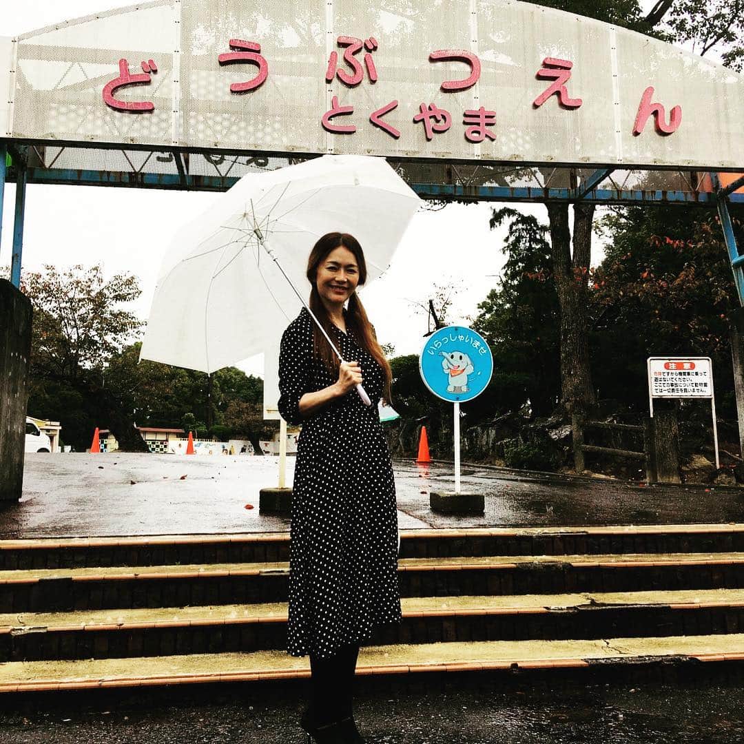 青田典子さんのインスタグラム写真 - (青田典子Instagram)「玉置浩二 ソロツアーのため、 周南市文化会館に行きました。 その横にある#徳山動物園は私の小さい頃の思い出の場所。 その胸の内をコラムに託しました。 「#青田日和」として、これからも掲載していきます。 ぜひご覧になってください〜🎈 https://aota1010.com/contents/column」10月24日 20時06分 - norikoaota