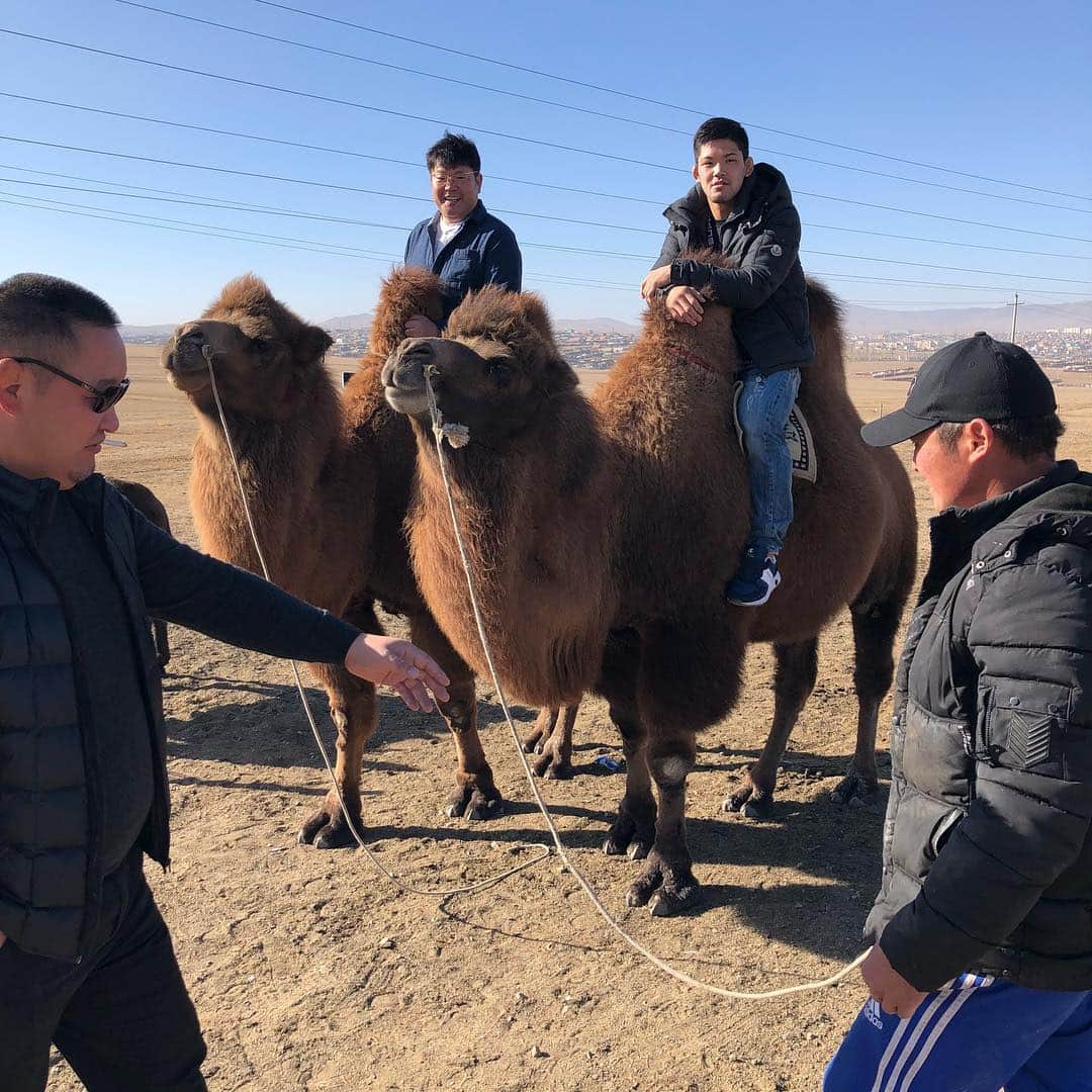 大野将平さんのインスタグラム写真 - (大野将平Instagram)「モンゴルは逞しい国でした。 モンゴルでお世話になった皆さん、ありがとうございました。 また必ず行きます。 #モンゴル#相撲#柔道#刺激#旅#武者修行#思い出#動物#食事#渋滞#馬乳酒#大草原#肉#馬#鷹#羊#おもてなし#ラム#ラクダ#マーモット#ボーズ#ゲル#カシミア#ランクル#プリウス#チンギスハン#ウォッカ#ウイスキー#ストレート#ザ」10月24日 22時36分 - ono0203