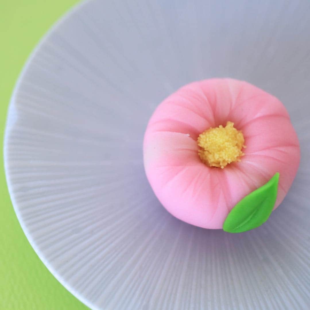 Toru Tsuchieのグルメインスタ