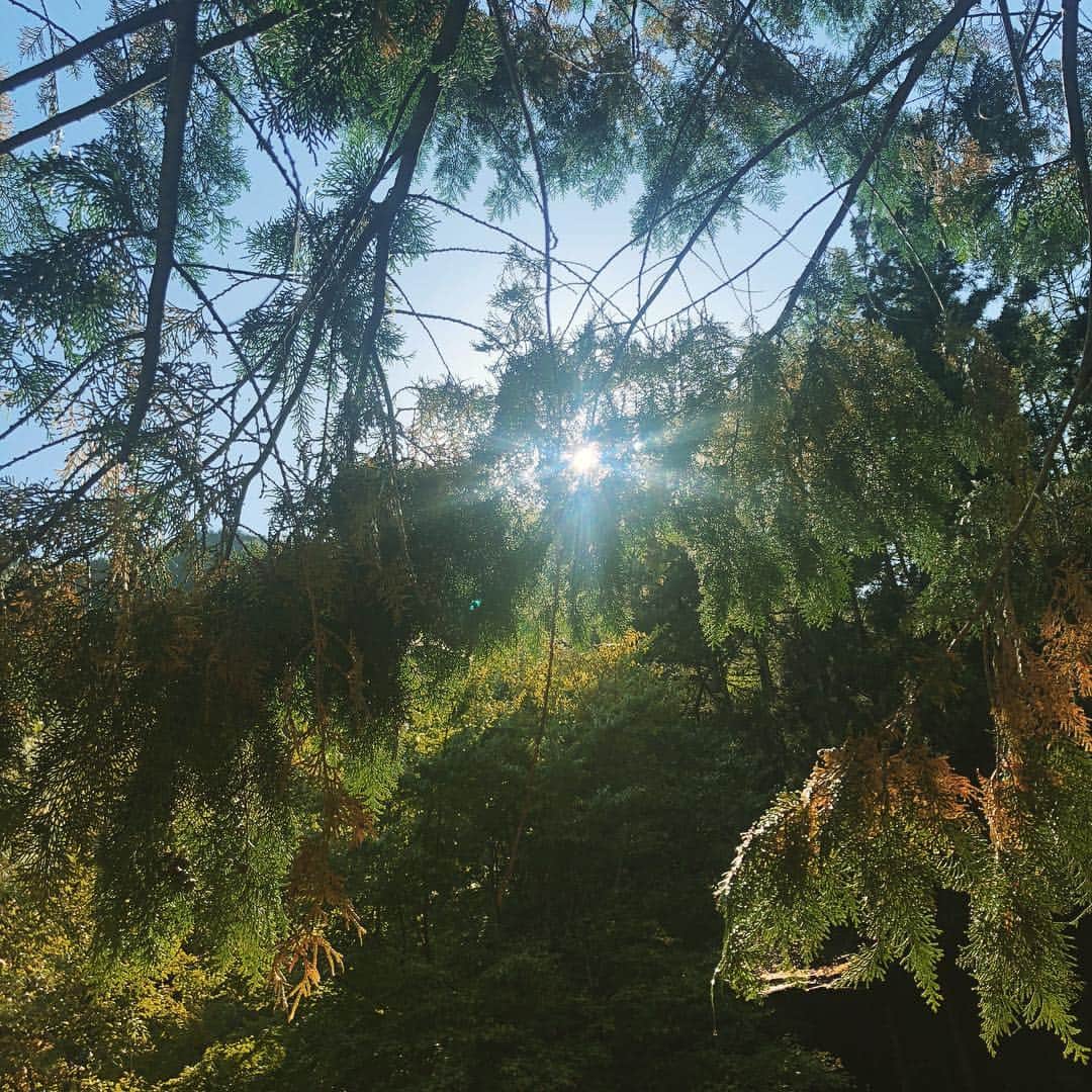 笛木優子さんのインスタグラム写真 - (笛木優子Instagram)「自然、自然、自然🍁⛰」10月25日 8時21分 - yukofuekiyumin