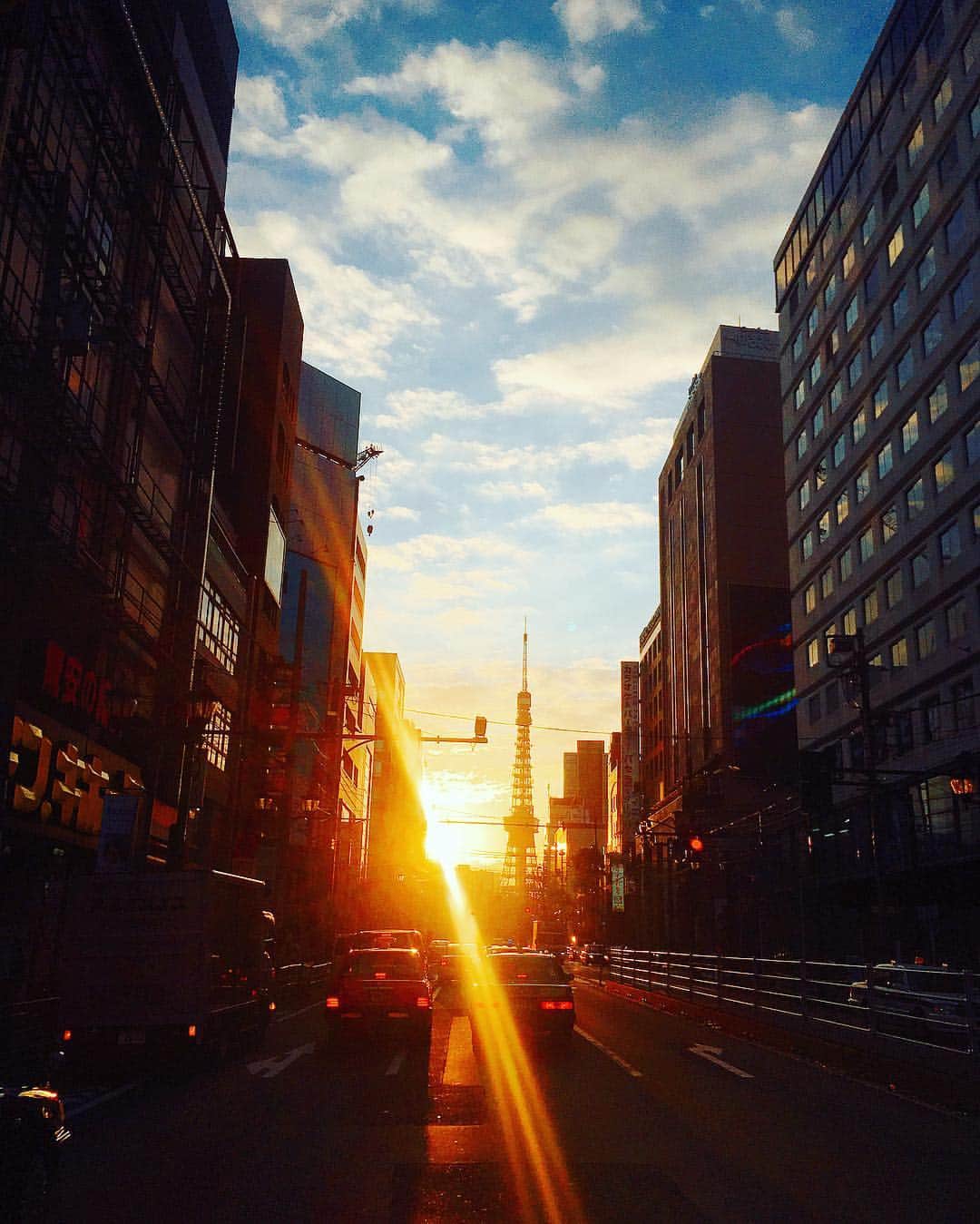 ソフィア・グリーンウッドさんのインスタグラム写真 - (ソフィア・グリーンウッドInstagram)「🌇 #japan#tokyo#roppongi#sunrise#sunshine#nostalgic#mood#good#view#goodmorning #ロアビルとドンキの狭間愛好会 #東京タワー絶景ポイント #私がどけば #さてさて #気象予報士が今日は #100点満点の秋晴れゆうてた #よっしゃー!! #テンアゲ⤴︎⤴︎ #おやすみなさい👴🏼💯」10月25日 9時00分 - sophichan