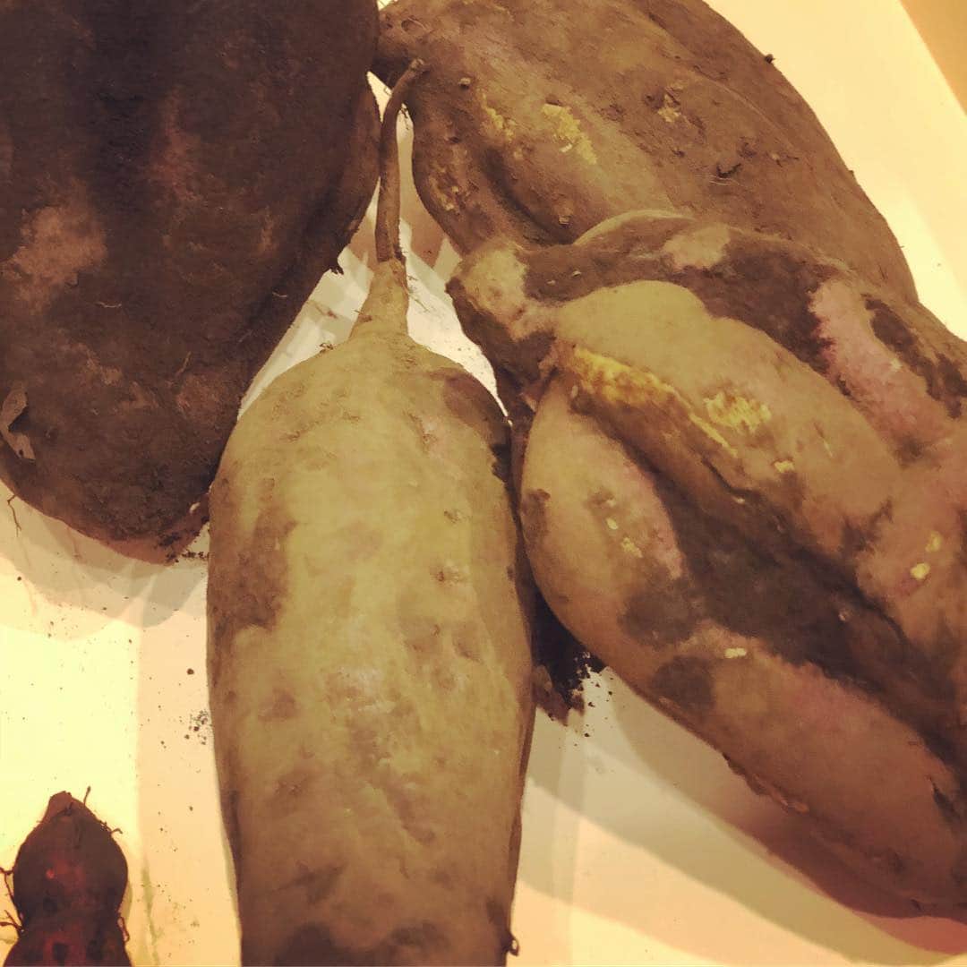 涼紫央さんのインスタグラム写真 - (涼紫央Instagram)「朝から スイートポテトを作りました… お料理が やらなければならないものから 楽しいものに 少しずつ変わりつつある…^ ^」10月25日 10時21分 - toitoitoi