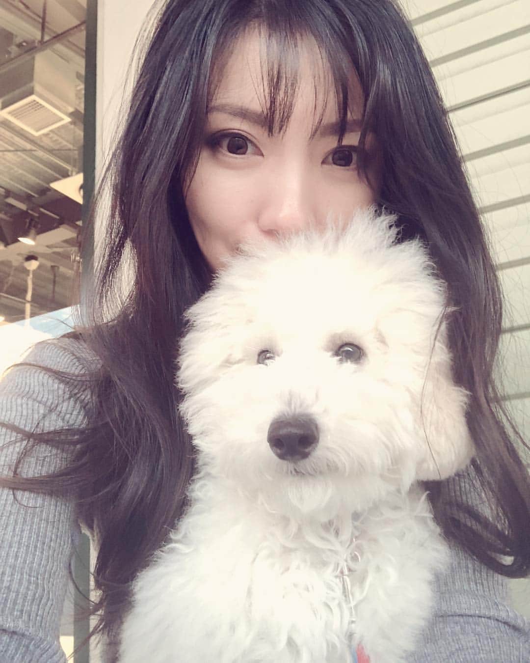 のインスタグラム：「. . teddyとはじめての温泉旅行中 🐾♨︎ . . あぁ。こうゆう時間大事😌癒 .」