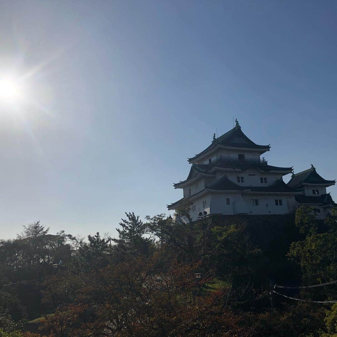 山崎ケイさんのインスタグラム写真 - (山崎ケイInstagram)「和歌山ぶらり旅🚶‍♂️ #仕事の合間 #和歌山城 #大河ドラマ見るようになってから城見るの楽しい #西郷どんはまだ愛加那のとこ #和歌山ラーメン #山添のランチはスシローだったそうです」10月25日 16時55分 - kei_yamazaki_aisekistart