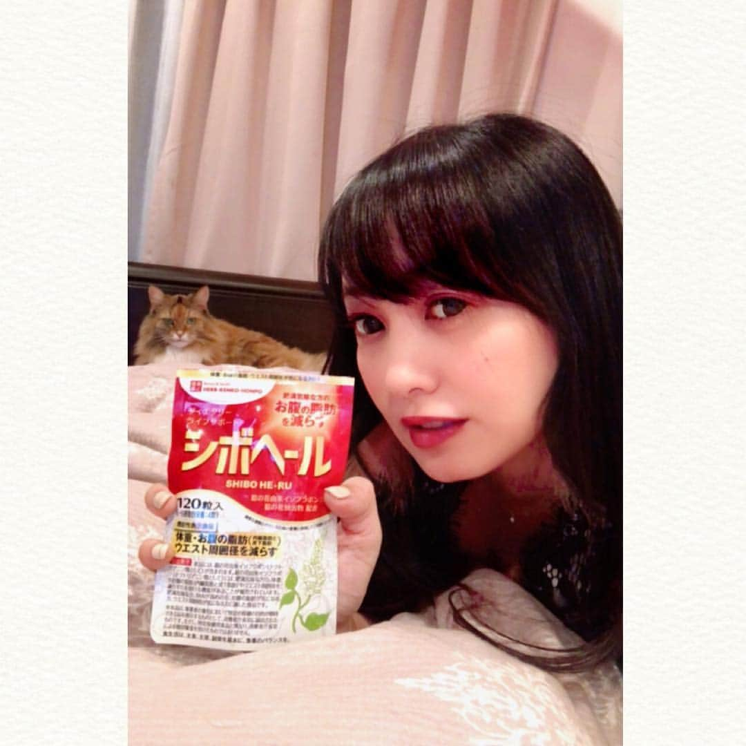 脊山麻理子さんのインスタグラム写真 - (脊山麻理子Instagram)「痩せてるみかちゃんオススメのシボヘールを、ジムでのトレーニングとウォーキングと合わせて飲んでみる♡みるくぽんのごはんじゃないよ！笑笑  @shiboheru.n_official #シボヘール　#ダイエット　#サプリメント　 #葛の花由来イソフラボン　#お腹の脂肪#PR」10月25日 18時52分 - mariko_seyama_milkpon