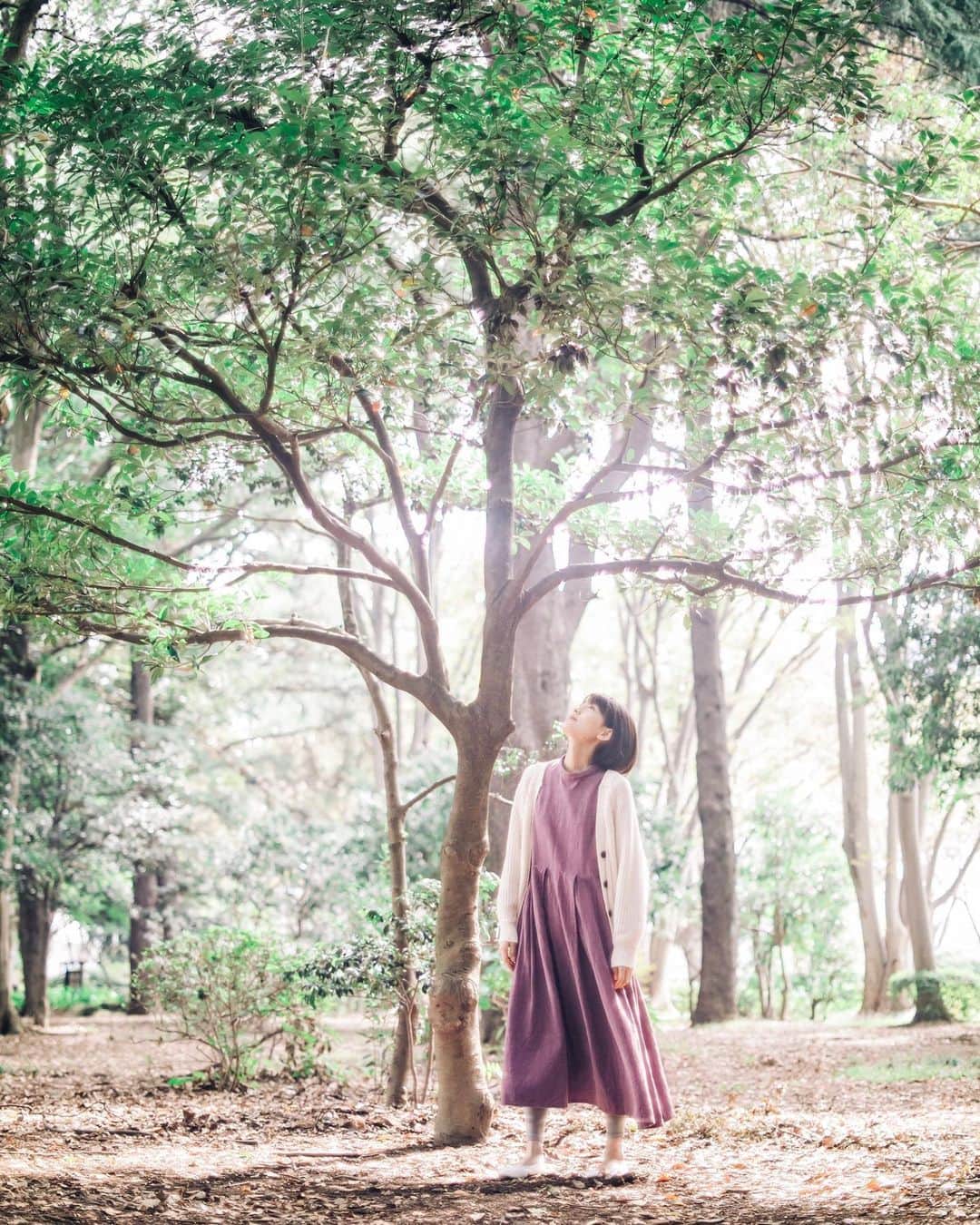 のインスタグラム：「﻿ ﻿ Grow Till Tall﻿ ﻿ ﻿ ﻿」