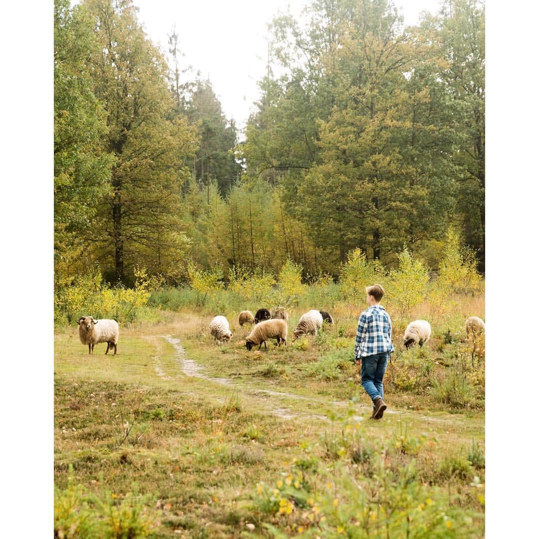 Eelco Roosのインスタグラム：「Spending a few days in one of our favorite parts of the Netherlands: Drenthe. Autumn has kicked in which makes it even more magical. #oerdrenthe #hofvansaksen」