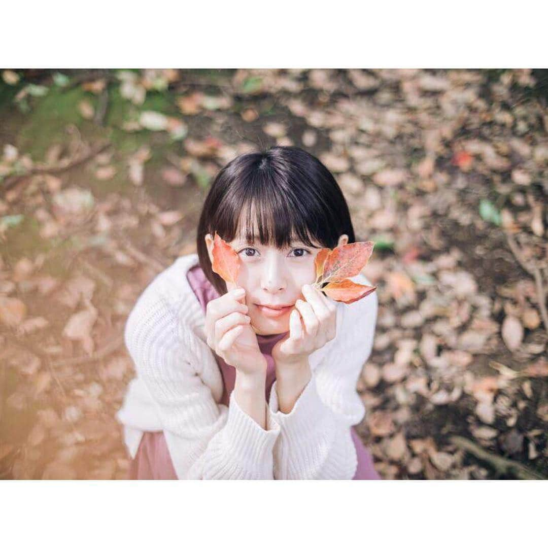 吹越ともみさんのインスタグラム写真 - (吹越ともみInstagram)「🍁🍁🍁🐻🍁🍁🍁 ㅤㅤㅤㅤㅤㅤㅤㅤㅤㅤㅤㅤㅤ 徐々に年末が迫ってきて、焦る。 今年中に、やり残したこと、出来てないことやらなきゃ。って思うなら明日やりなさい！！！ ( 自分に言い聞かせる。) ㅤㅤㅤㅤㅤㅤㅤㅤㅤㅤㅤㅤㅤ ㅤㅤㅤㅤㅤㅤㅤㅤㅤㅤㅤㅤㅤ #photo#photography#camera#autumn#yoyogipark#📚#🖋#💭」10月25日 21時38分 - fukitomo