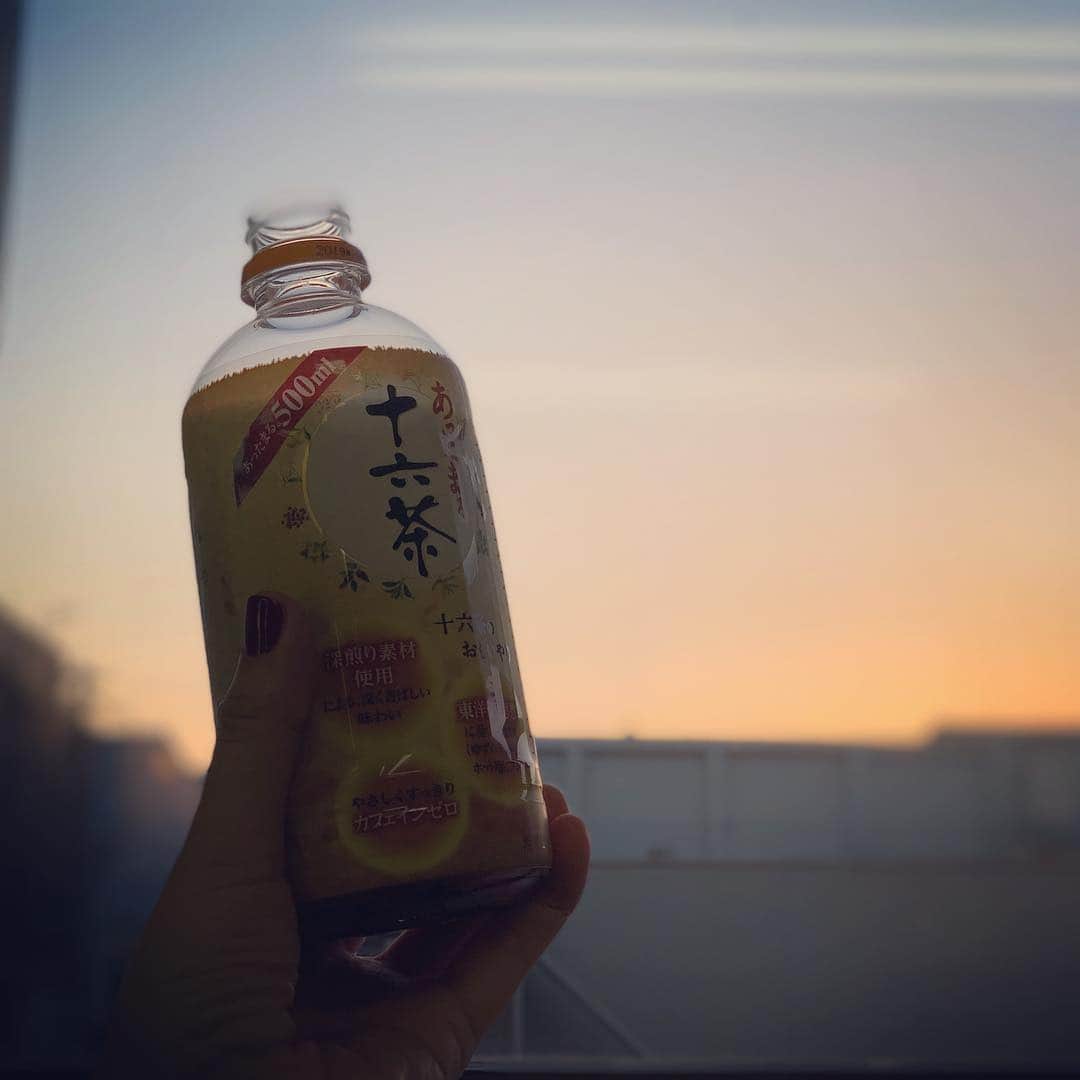 井上和香さんのインスタグラム写真 - (井上和香Instagram)「朝焼けとお茶。 . #おはよう #朝の一杯 #温かいお茶 #十六茶」10月26日 6時31分 - inoue_waka