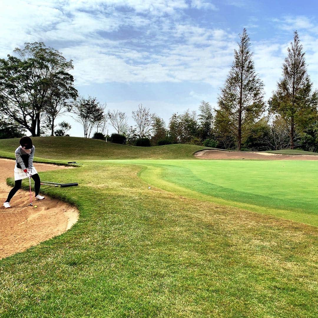 宮崎宣子さんのインスタグラム写真 - (宮崎宣子Instagram)「今日はゴルフ日和☀️ 気温が丁度良い✨✨✨ で、早速のバンカー🤣 だんだん一度で出るようになってきました⛳️💕 #ゴルフ日和 #快適ゴルフ #バンカーショット #秋ゴルフ #golfgirl #ゴルフ好き #ゴルフ好きと繋がりたい」10月26日 17時23分 - miyazaki_nobuko