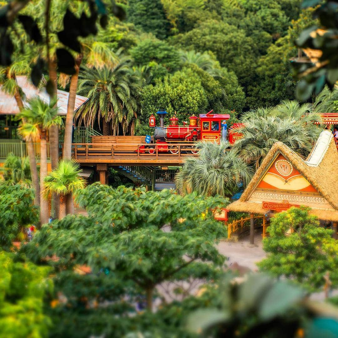 東京ディズニーリゾートさんのインスタグラム写真 - (東京ディズニーリゾートInstagram)「Your new favorite view spot! おもちゃになっちゃった！？ #westernriverrailroad #swissfamilytreehouse #adventureland #tokyodisneyland #tokyodisneyresort #tiltshift #ウエスタンリバー鉄道 #スイスファミリーツリーハウス #ウエスタンランド #東京ディズニーランド #東京ディズニーリゾート #トイカメラ風 #リオグランデ号」10月26日 11時35分 - tokyodisneyresort_official