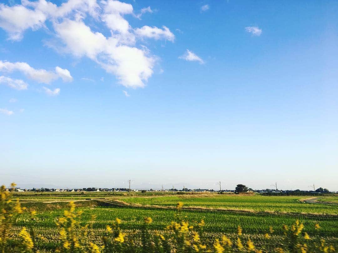 林莉世さんのインスタグラム写真 - (林莉世Instagram)「昨日☀️ 空のグラデーションが綺麗で思わず📸 ロケ帰りの車の中から！ 昨日はここ一年くらいで1番体を動かしたかもです笑 詳しくは来月のなじラテ。で放送します☕️お楽しみに〜♪」10月26日 18時31分 - rise_hayashi