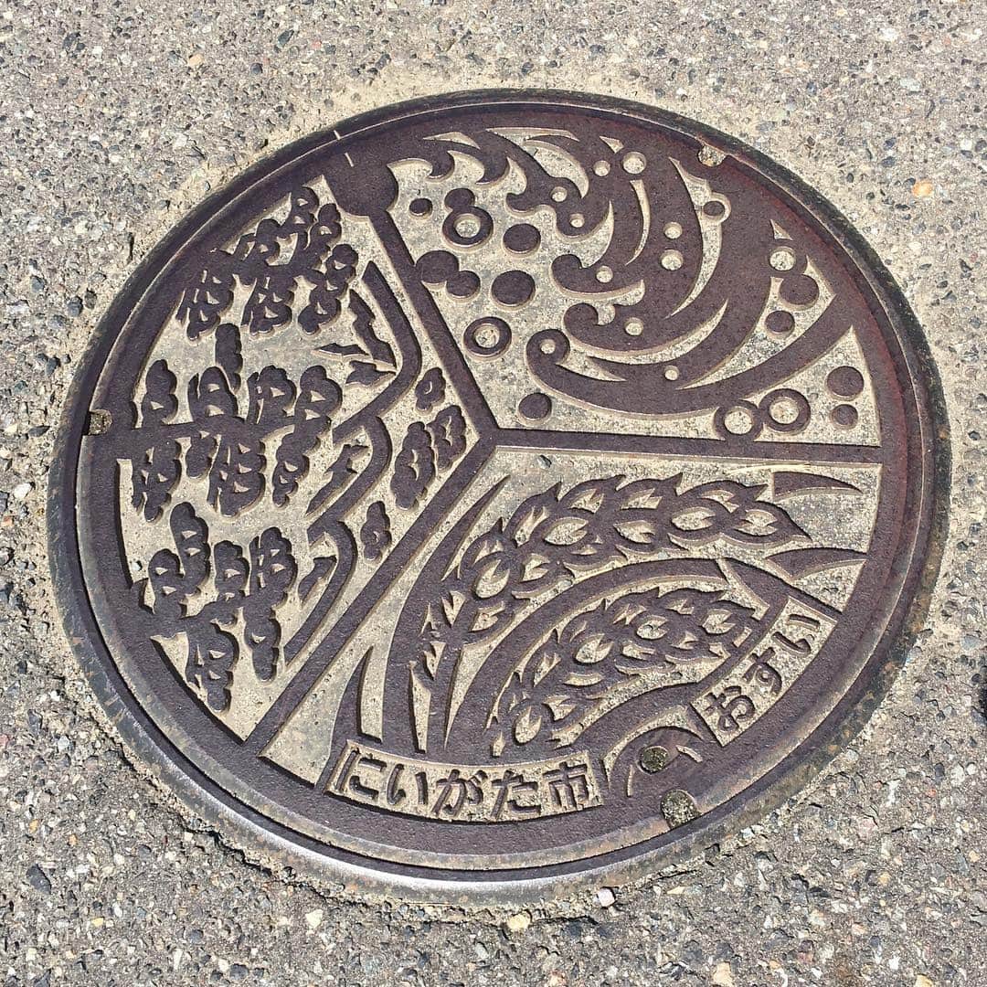 桜井くみ子のインスタグラム：「新潟市西蒲区(旧 岩室村)のデザインマンホール蓋。 ＊日本海の波飛沫 ＊稲穂 ＊『弥彦山』『多宝山』と『マツ』 ＊『にいがた市』『おすい』の文字入り 岩室村の、海・平野・山を表現したデザインマンホール蓋です！『弥彦山』の標高は634m。東京スカイツリーと同じ高さですね〜✨そして、『弥彦山』の双耳峰『多宝山』と、北に位置する『角田山』、南に位置する『国上山』と共に、佐渡・弥彦・米山国定公園に指定されています！ 『にいがた市』に合併する以前に設置された蓋は、『岩室村』の文字入りになっています😉岩室温泉にも、ゆっくり入ってみたいなぁ♨️ 2枚目の蓋は、レモンの輪切りみたいで可愛らしかったので、撮影しました😊 #新潟市西蒲区 #岩室村 #デザインマンホール蓋」
